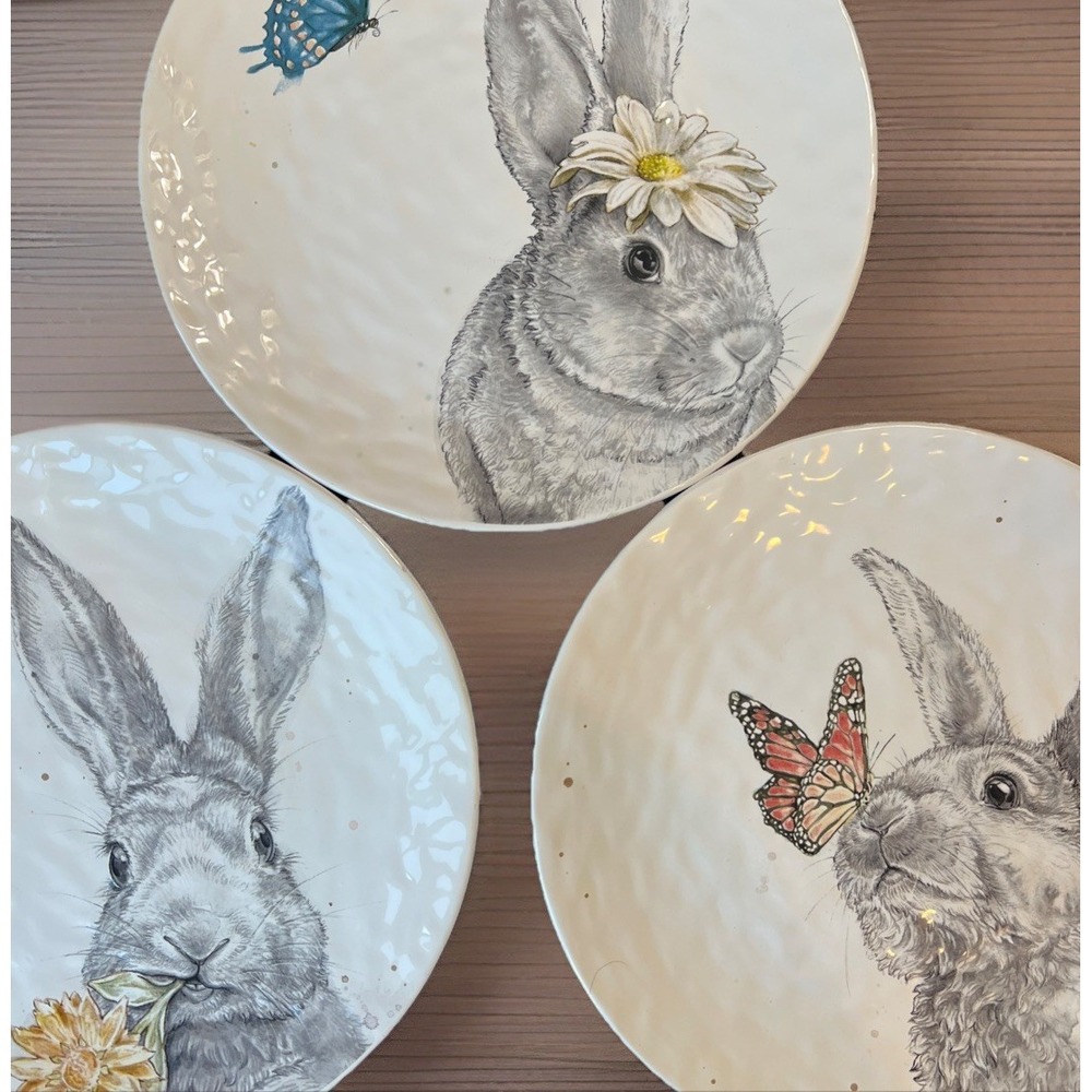 (3) PIER 1 Easter Spring Bunny Rabbit Salad Dessert Plates 8" Sketch Art Nature